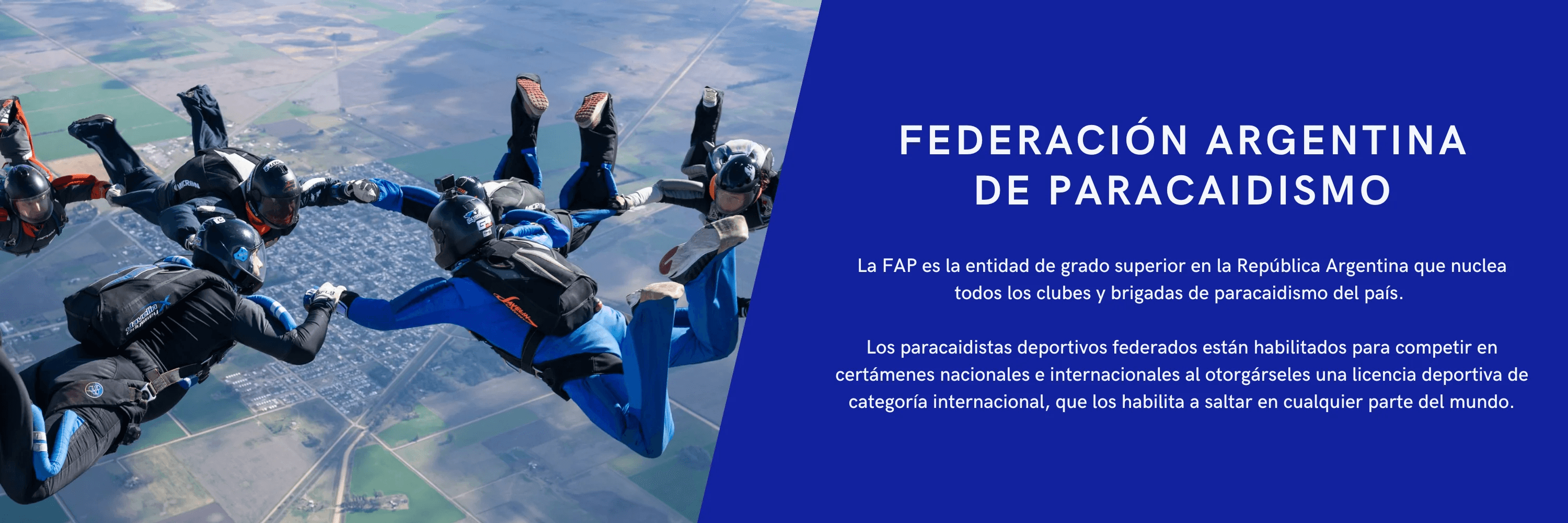 Consejo Ejecutivo